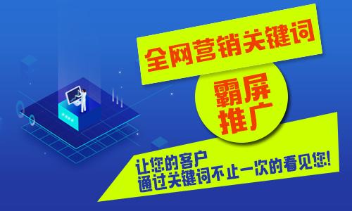 天津有实力的网站建设开发
