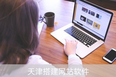 天津搭建网站软件(天津网站建设服务商)