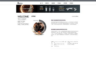天津网页开发与工业制造官网设计——奔唐网络的卓越实践